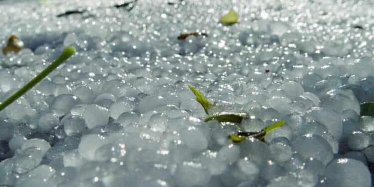 Sudden hailstorm lashes Egypt’s Alexandria – Phys.org