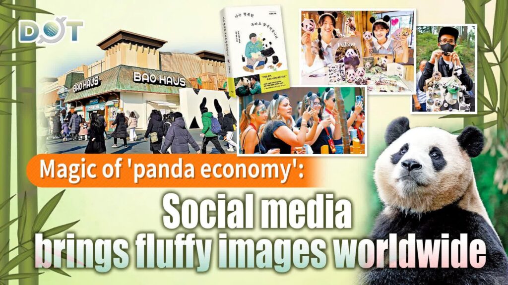 Panda economy: China’s Chengdu region sees tourism boom – France 24