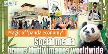 Panda economy: China’s Chengdu region sees tourism boom – France 24
