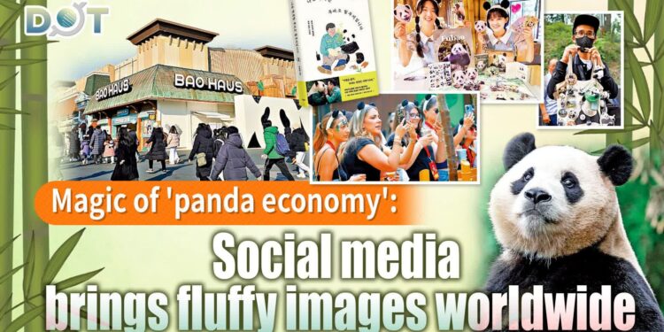 Panda economy: China’s Chengdu region sees tourism boom – France 24