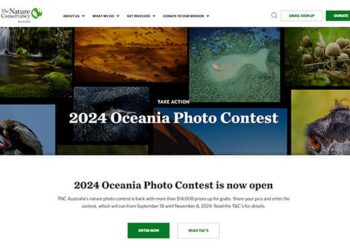 2024 Oceania Photo Contest: New Zealand Winners – The Nature Conservancy