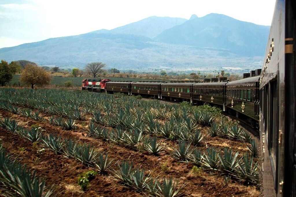 The return of Mexico’s famous Tequila Express train – BBC