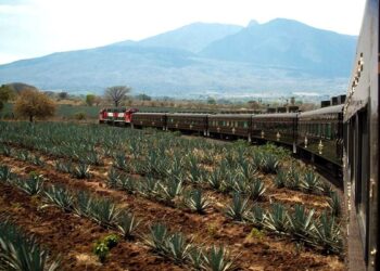 The return of Mexico’s famous Tequila Express train – BBC