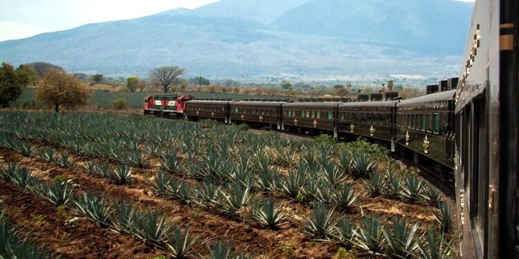 The return of Mexico’s famous Tequila Express train – BBC