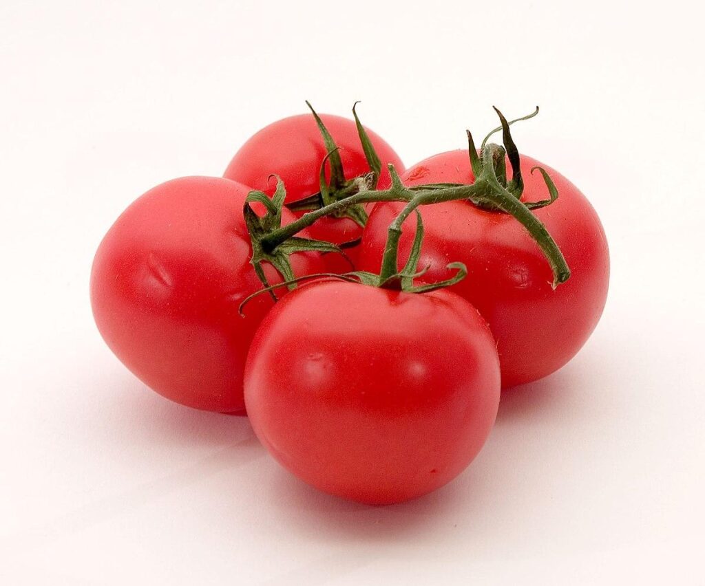 Stakeholders convene on Kano for national Tomato policy workshop – Blueprint Newspapers Limited