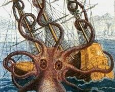 Kraken Becomes Latest to Win a License Under Europe’s New Rules – Decrypt