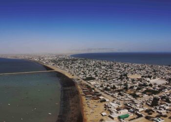 Gwadar agri team visits Zhengzhou – Business Recorder