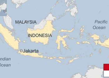 Indonesia books preliminary $4.9 bln trade surplus in May, finance minister says – Reuters