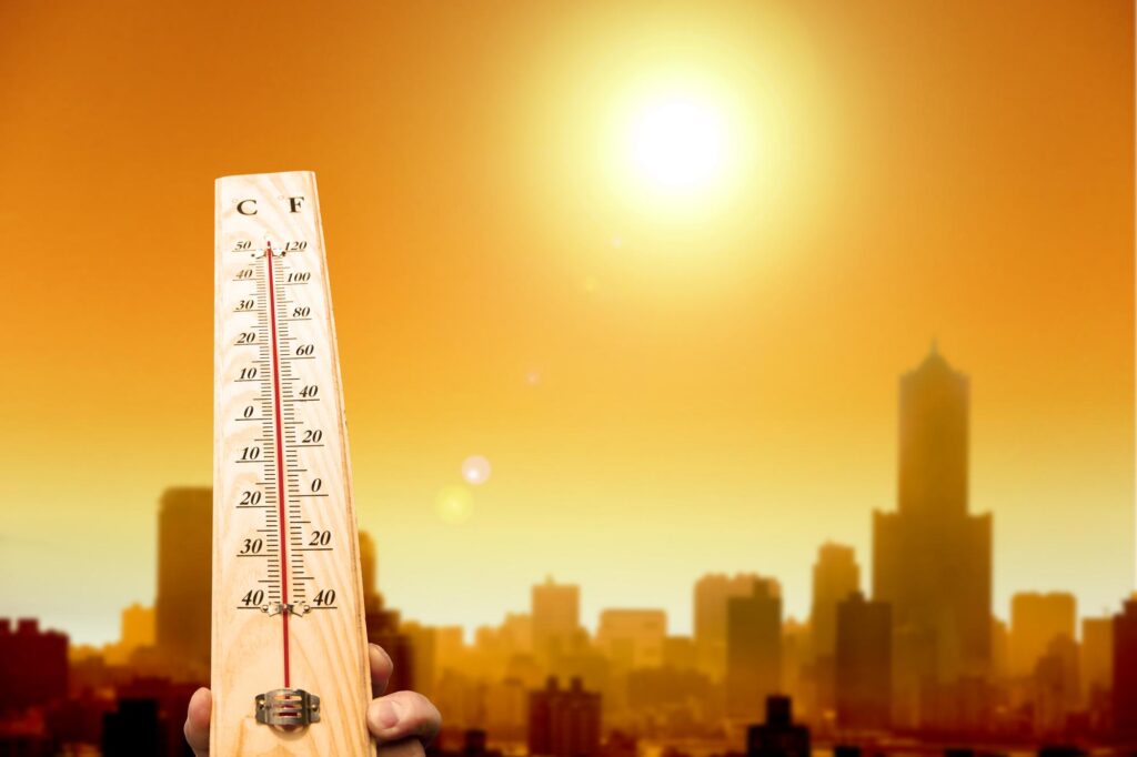 Heatwaves and wildfires grip Europe as temperatures exceed 40°C – Euronews.com