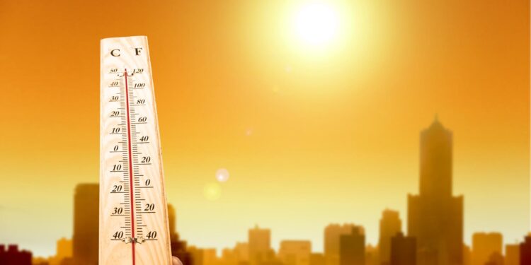 Heatwaves and wildfires grip Europe as temperatures exceed 40°C – Euronews.com
