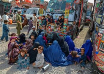 Afghan returnees arrive with empty hands, uncertain future – Tribune India