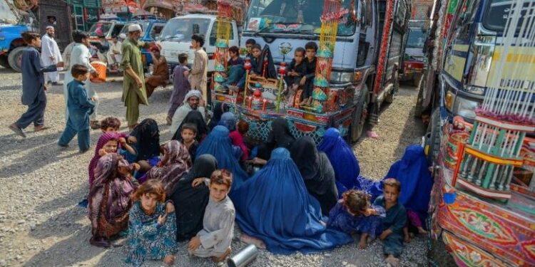 Afghan returnees arrive with empty hands, uncertain future – Tribune India