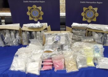 Hundreds detained in Turkey’s biggest ever drugs raid in Ankara, interior ministry says – Euronews