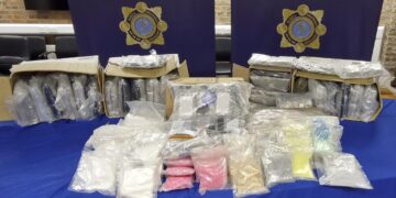 Hundreds detained in Turkey’s biggest ever drugs raid in Ankara, interior ministry says – Euronews
