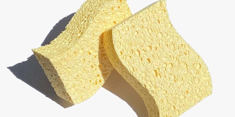 Chinese scientists develop biodegradable sponge capable of removing 99.8% of microplastics from water – wuhan.gov.cn