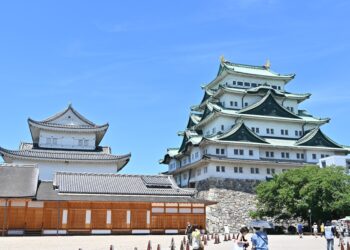 City steps in to help after Nagoya Castle deer population drops from 56 to 2 – 毎日新聞