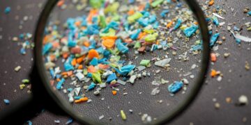 Occurrence and risk assessment of microplastics on the Shenzhen coast, South China – ScienceDirect.com