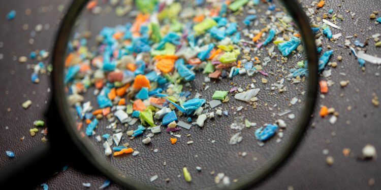 Occurrence and risk assessment of microplastics on the Shenzhen coast, South China – ScienceDirect.com