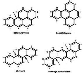 Polycyclic Aromatic Hydrocarbons in Road Dust in Changchun City, Northeast China: Spatial Distribution, Source Appointment, and Human Health Risk Assessment – Wiley Online Library