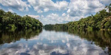 Collaboration for the Congo Basin – the largest tropical forest reserve – The World Economic Forum
