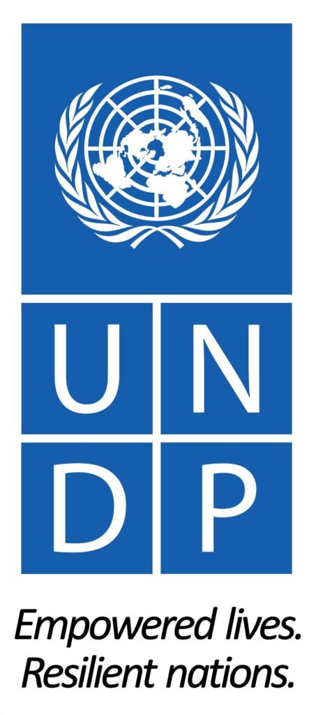 UNDP India partners with collective artists network to boost youth-led SDG action; focus on climate, gend – Times of India