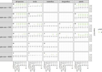 COP30’s uphill battle to shift from gender rhetoric to action – ISS Africa