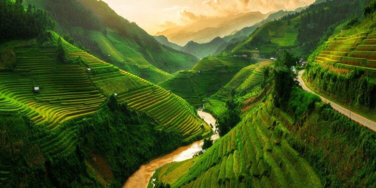 Dodging traffic and diving into history: Five days in northern Vietnam, from Hanoi to Halong Bay – Cleveland.com