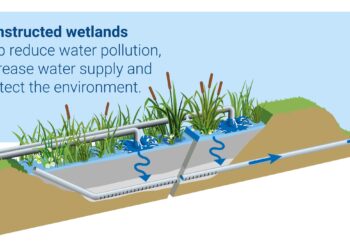 A review on constructed wetlands in Beijing-Tianjin-Hebei region of China: Application in water treatment, problem, and practical solution – ScienceDirect.com