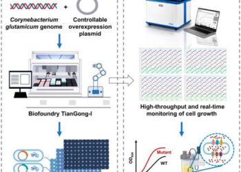 International Friendship Cities Business Matchmaking Fair during “2025 Shandong International Friendship Cities Cooperation and Exchange Week” Held in Jinan – Macau Business