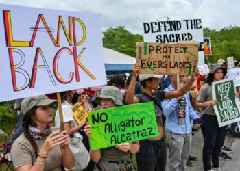 Shocking scenes as protesters storm an Israeli restaurant in Melbourne – as a Jewish synagogue is torched nearby – Daily Mail