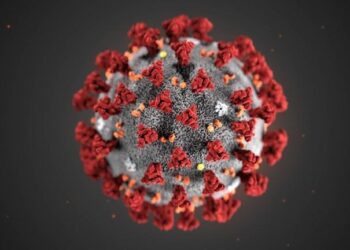 Coronavirus chokes the drug trade — from Wuhan, through Mexico and onto U.S. streets – Los Angeles Times