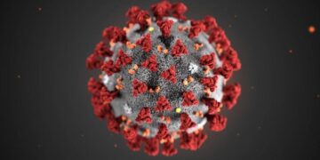 Coronavirus chokes the drug trade — from Wuhan, through Mexico and onto U.S. streets – Los Angeles Times