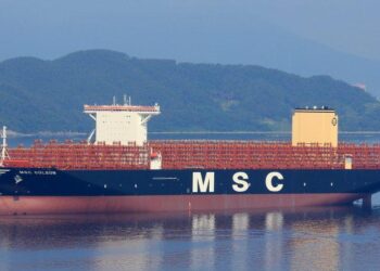 One Killed as New Chinese Domestic Boxship and Bulker Collide off Ningbo – The Maritime Executive