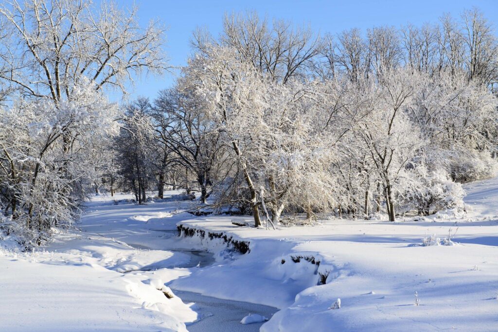 Spring snow creates breathtaking contrast in Chongqing, China – Xinhua