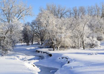 Spring snow creates breathtaking contrast in Chongqing, China – Xinhua