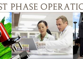 1st phase of integrated fishery, photovoltaic project starts generating electricity in Qingdao – Xinhua