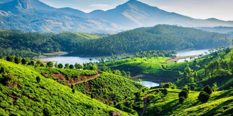 Kerala couple booked for chit fund fraud in Bengaluru – Deccan Herald