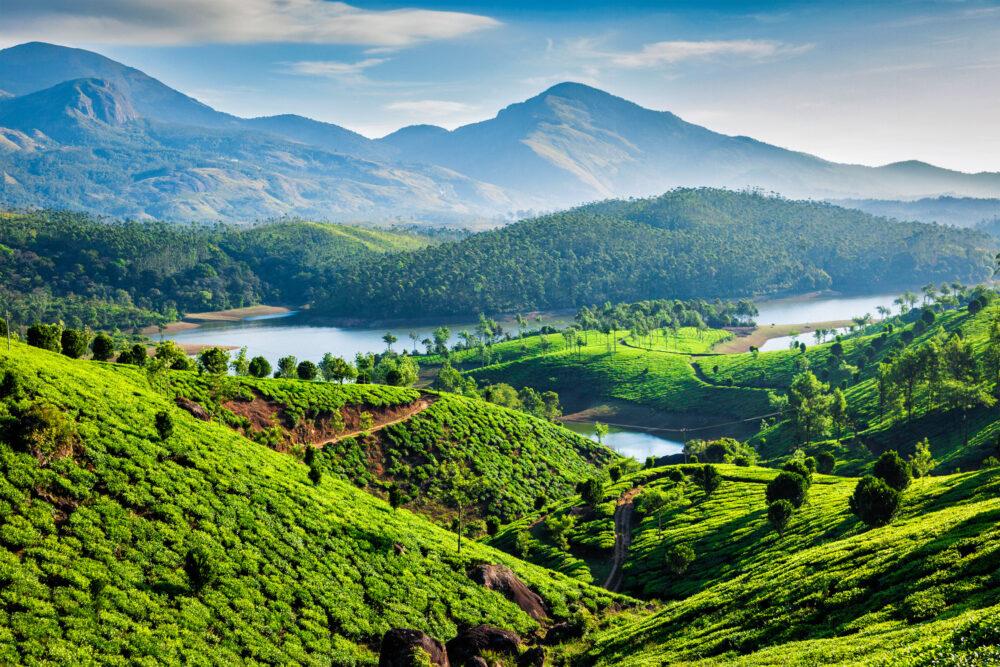 Kerala couple booked for chit fund fraud in Bengaluru – Deccan Herald
