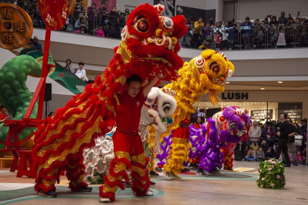 Chinese lion dance troupe shrugs off patriarchal past | Sinar Daily – Sinar Daily