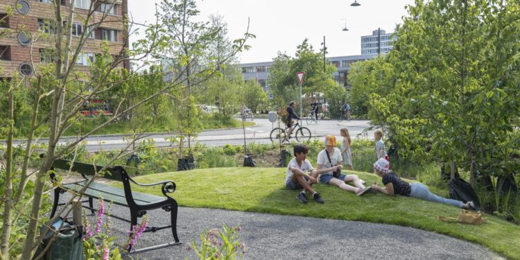 Spatiotemporal dynamics of urban green space in Changchun: Changes, transformations, landscape patterns, and drivers – ScienceDirect.com