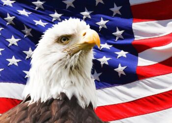 I’m an American who moved to China. After 7 years, I run a profitable startup and make friends through badminton. – Business Insider