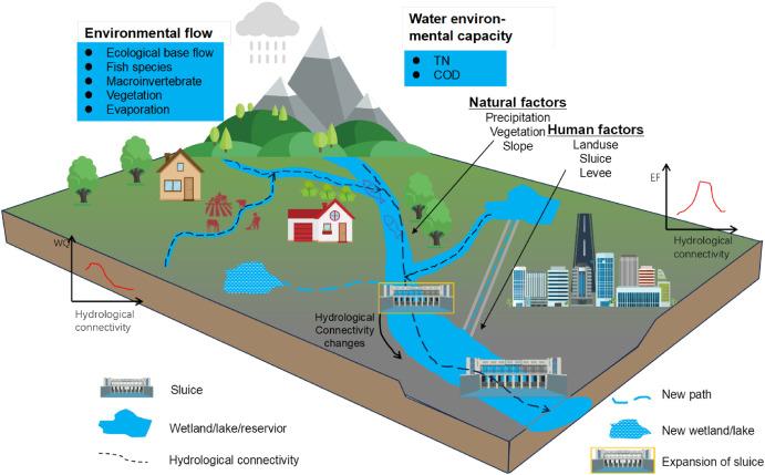 Evaluation and optimization of urban hydrological connectivity based on graph theory: A case study in Chengdu, China – ScienceDirect.com