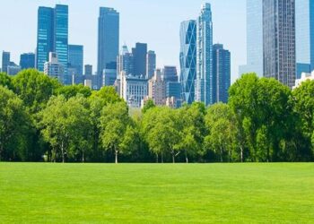 The role of urban green space landscape patterns in the synergistic prevention of PM – ScienceDirect.com