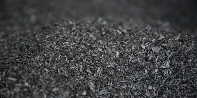 Biochar boom? South Africa bets on super charcoal for green jobs – Context News