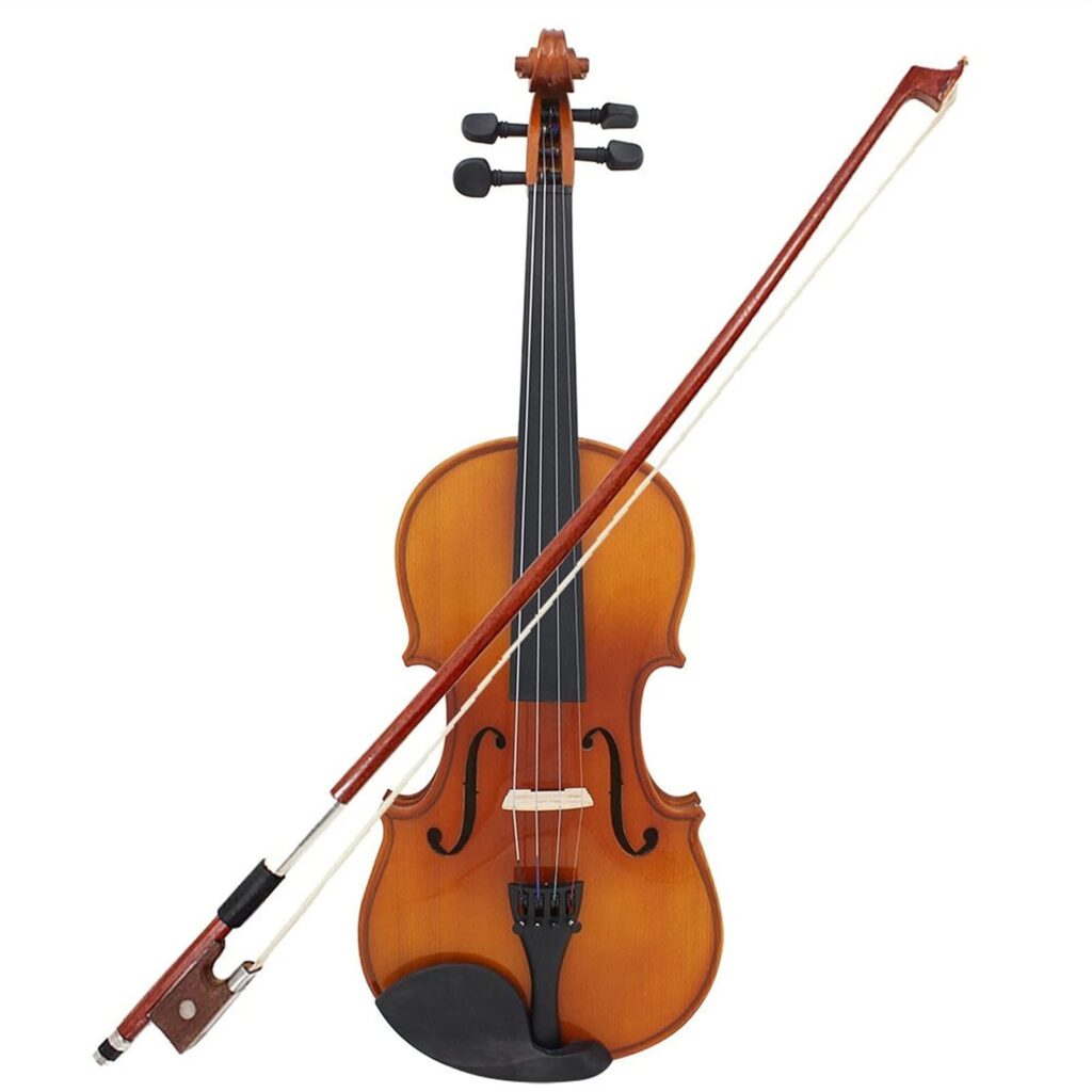 Violin and cello candidates announced for Harbin’s Schoenfeld International String Competition second round – The Strad