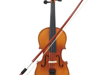 Violin and cello candidates announced for Harbin’s Schoenfeld International String Competition second round – The Strad