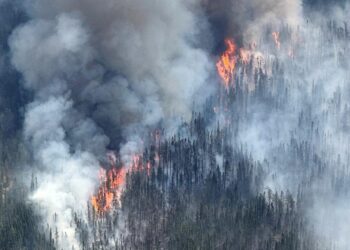 Wildfires rip across Spain turning Madrid skies ORANGE as army deployed with fears wild winds will wreak havoc today – The Sun