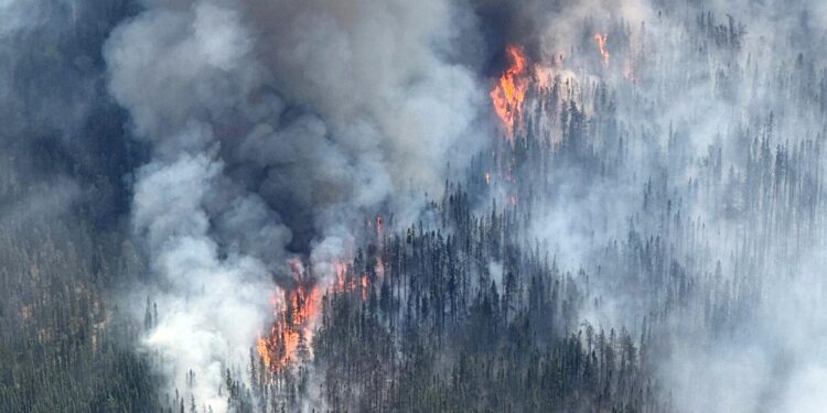 Wildfires rip across Spain turning Madrid skies ORANGE as army deployed with fears wild winds will wreak havoc today – The Sun