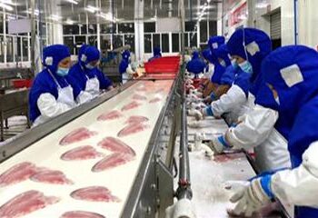 Chinese seafood processor Dalian Rich frets abandoning US customers, brand – SeafoodSource