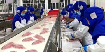 Chinese seafood processor Dalian Rich frets abandoning US customers, brand – SeafoodSource